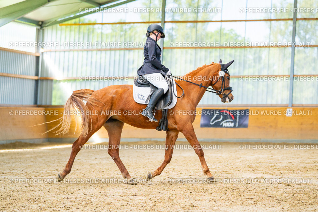 DSC07078 | Pferdegrafie