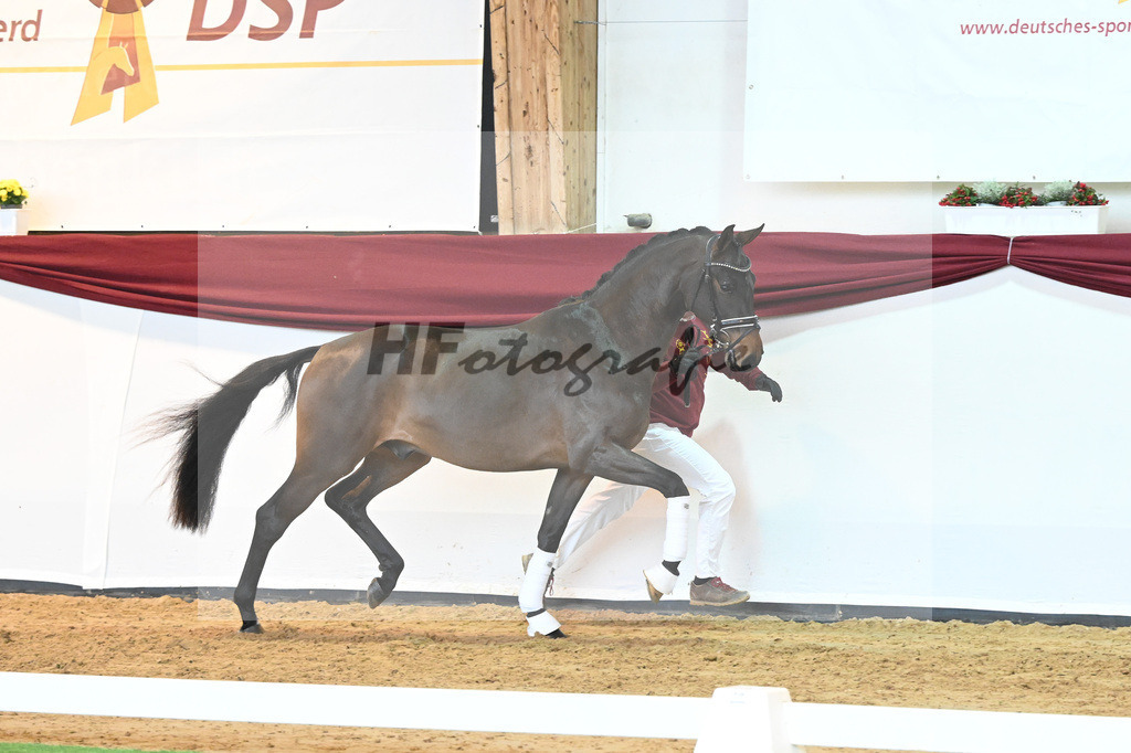 Kat-Nr. 9 v. Bonds_Schmidt_66221668 | hf-fotografie - Realisiert mit Pictrs.com
