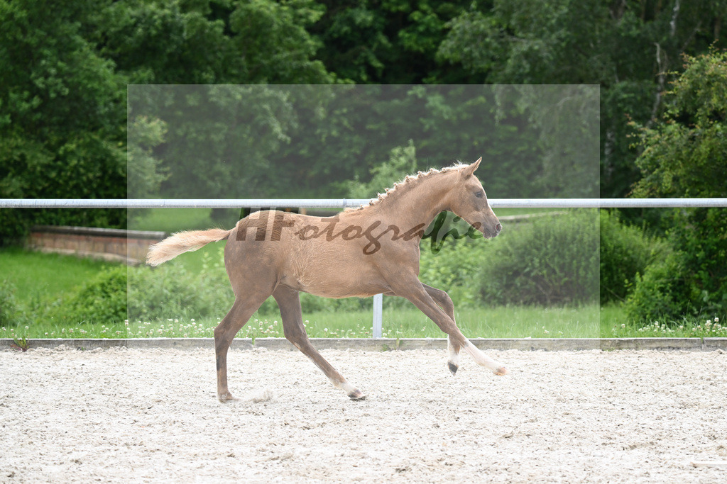 Dating AT x FS Dont Worry_SF_Lautz_20240225 | hf-fotografie - Realisiert mit Pictrs.com