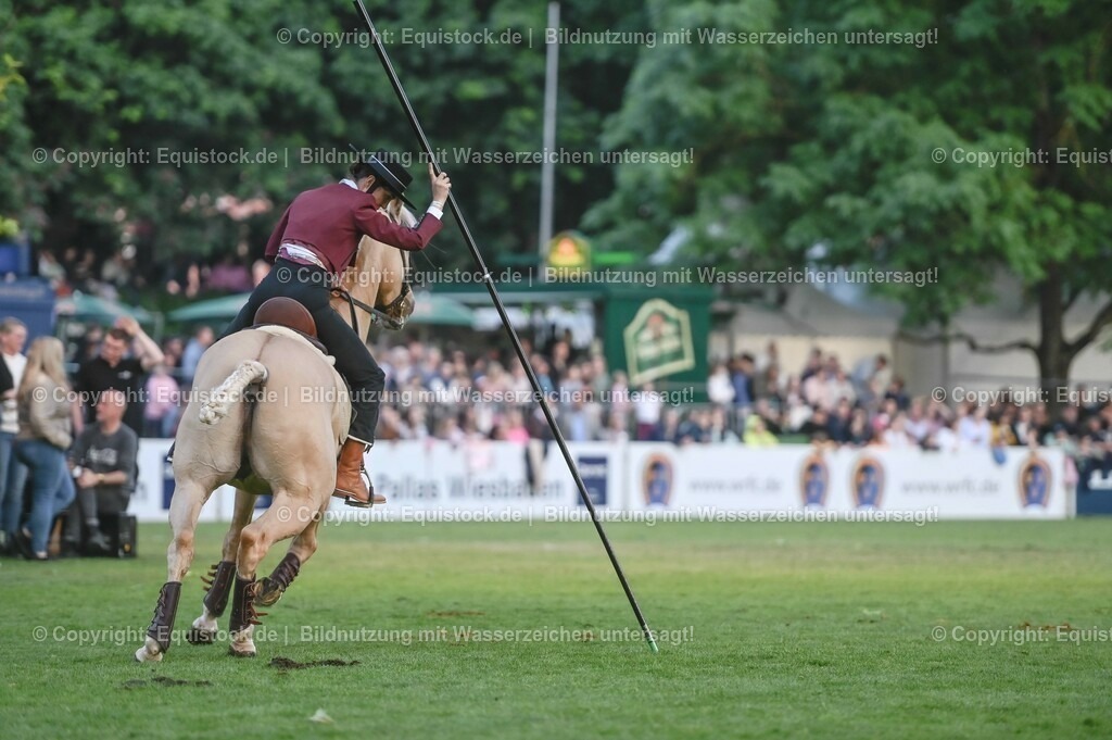 20230526_Pferdenacht_0694 | equistock