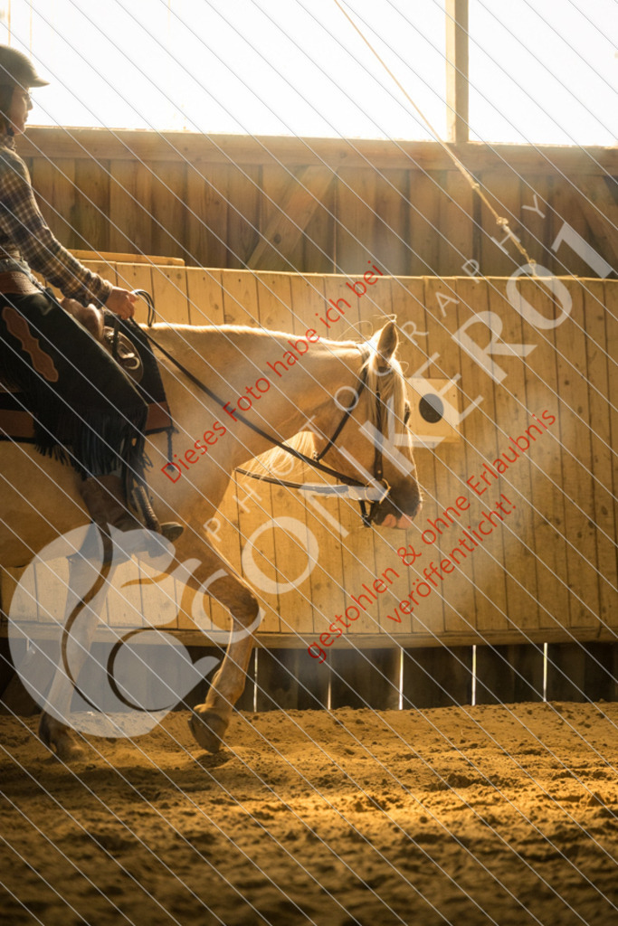 IMG_1824 | Sport-, Event- und Tierfotos in Profiqualität. Einfach auswählen, bestellen und herunterladen. Dein Moment – perfekt festgehalten.