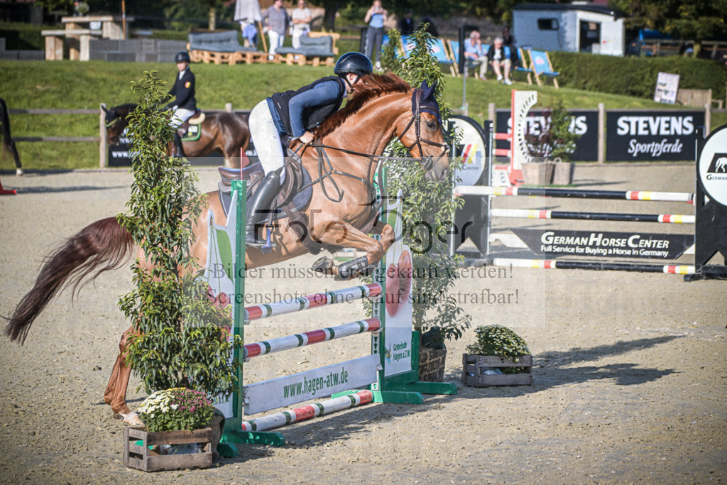 DOS_8741 | Entdecke hochwertige Reitturnierfotos von Foto Oger. Professionell, emotional und authentisch – jetzt Lieblingsmomente im Shop bestellen.Deutschlandweite Turnierfotografie. - Realisiert mit Pictrs.com