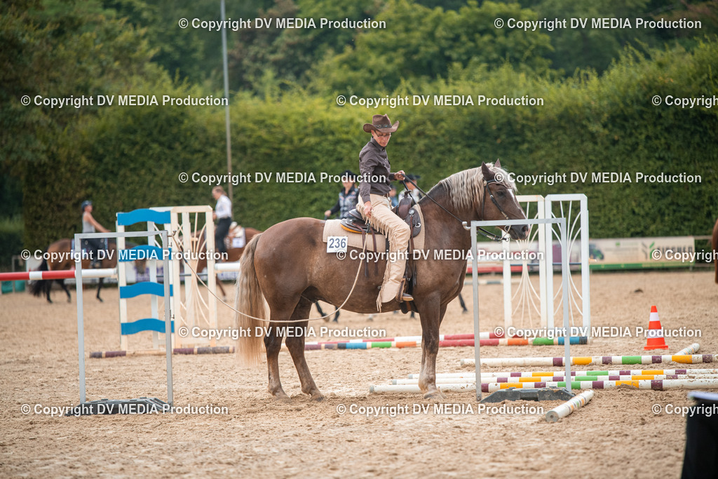 ZS2_7874 | dv-media-shop - Realisiert mit Pictrs.com