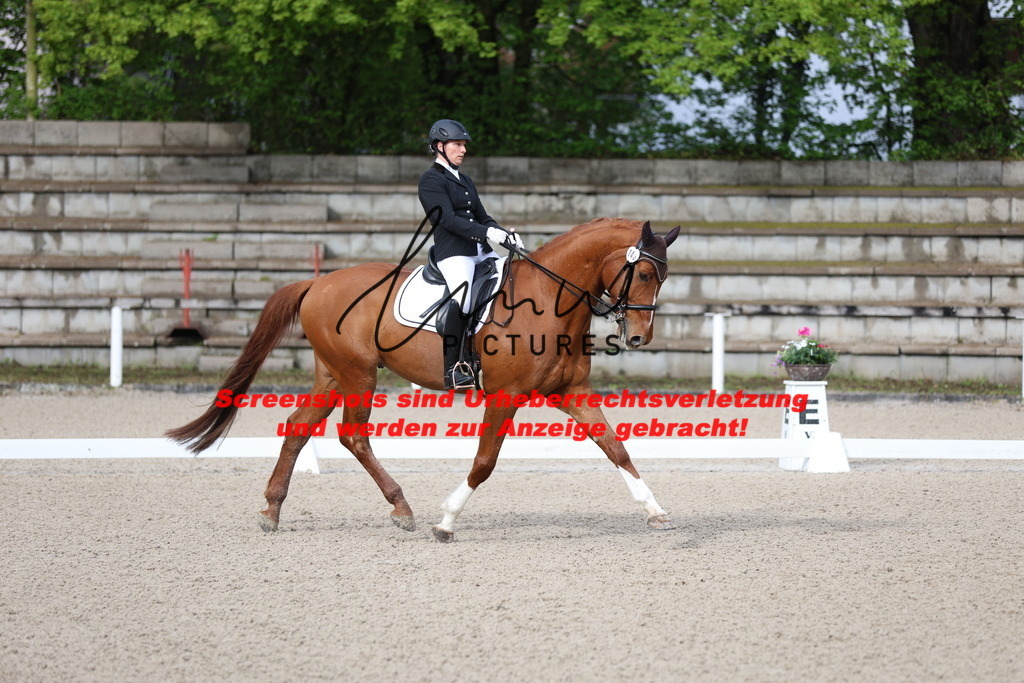 A40A0100 | lmwpictures - Realisiert mit Pictrs.com