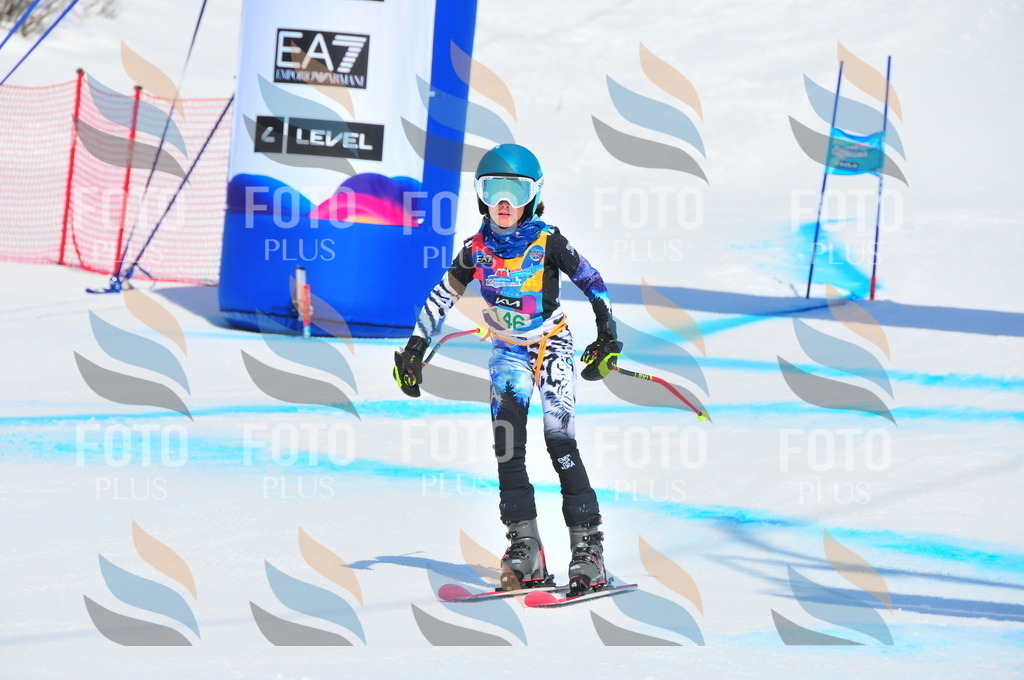 DSC_1243 | holidayphoto