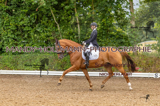 DRE S Filsum (135 von 491) | mandyhollmannphotographie