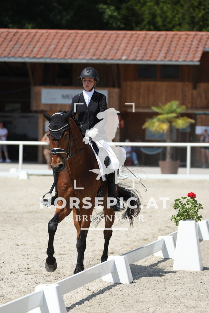 0P6A1214 | Willkommen bei Brunnmayr - Design & Fotografie – Ihrem Spezialisten für Reitturniere und Pferdeveranstaltungen in Oberösterreich, Salzburg und Bayern! Seit über 17 Jahren sind wir leidenschaftlich dabei.