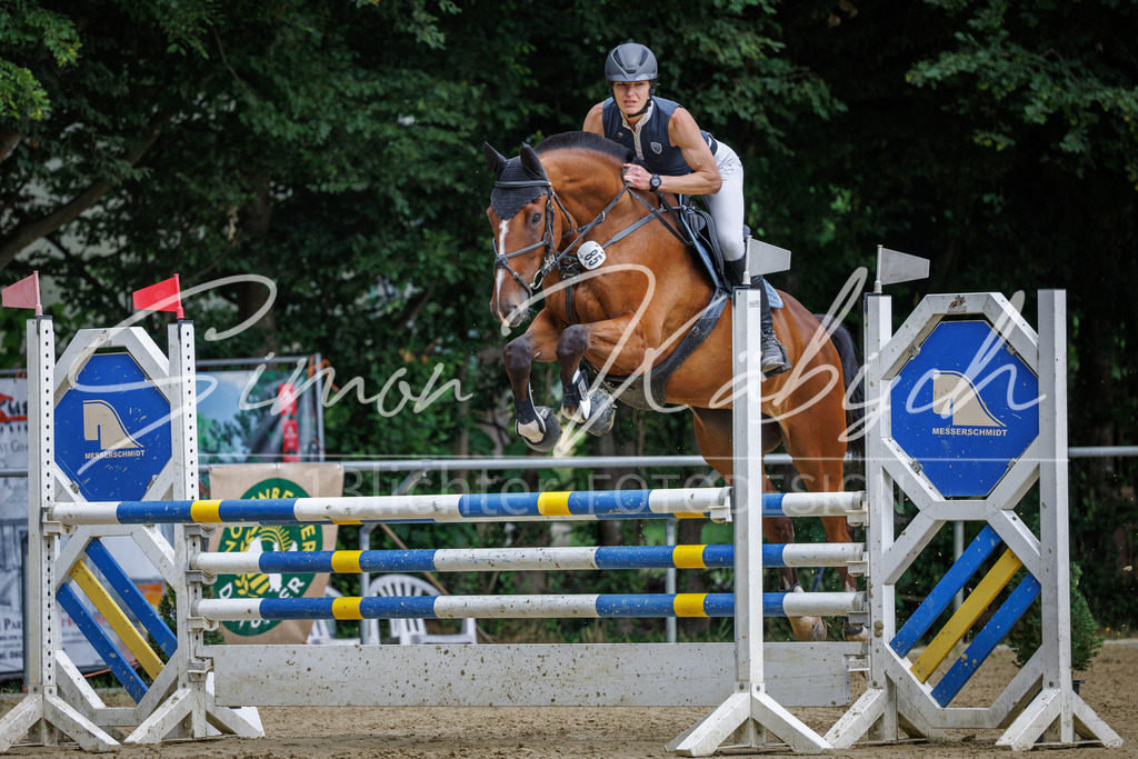 20260705-_3LI6476 | Tierfotografie Pferde, Hunde, Katzen, Haustiere.
Turnierfotografie Reitturniere, Reiten, Springreiten, Dressur in Hanau, dem Main-Kinzig-Kreis und dem Rhein-Main- Gebiet um Frankfurt