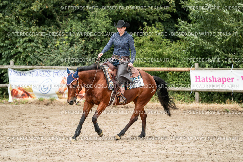 DSC01818 | Pferdegrafie