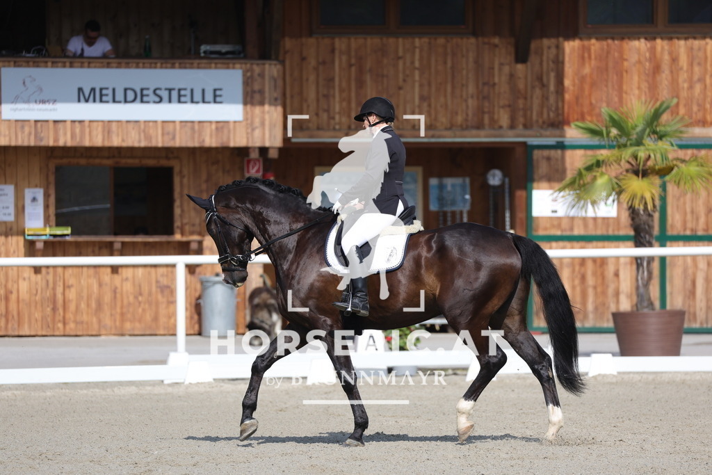 0P6A4587 | Willkommen bei Brunnmayr - Design & Fotografie – Ihrem Spezialisten für Reitturniere und Pferdeveranstaltungen in Oberösterreich, Salzburg und Bayern! Seit über 17 Jahren sind wir leidenschaftlich dabei.