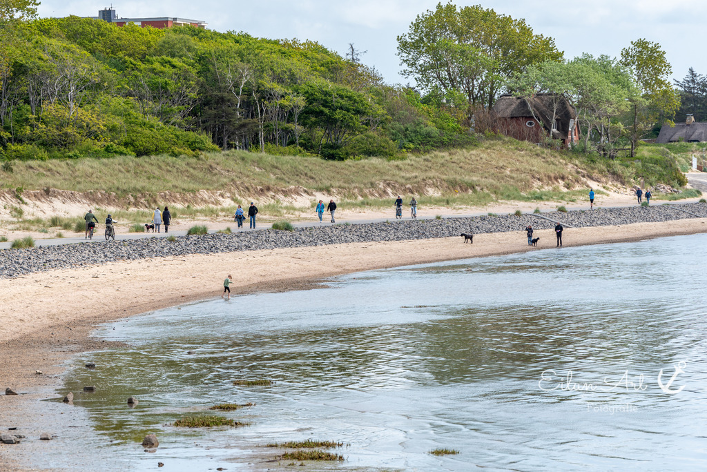 EAF_1294 | Eilun-Art-Fotografie Levke Martens, ihre Fotografin für Immobilien- und Landschaftsfotografie auf Föhr, Föhrer Motive als Poster, Leinwand, hinter Acrylglas oder stelle dir deinen eigenen Monatskalender zusammen, mit nur einem Klick