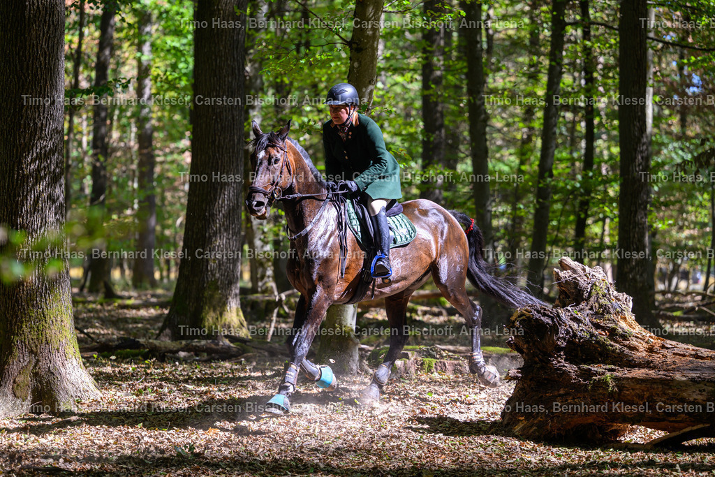 DSC_7871 | foto-team-bernhard - Realisiert mit Pictrs.com