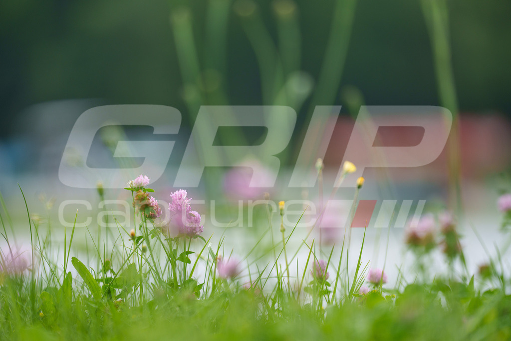 GRIPcapture-20260411-101-999-1000 | GREINBACH, AUSTRIA - JUNE 20-21, 2026: Riders compete during the G-Cup, Austrian Supermoto Championship and Hungarian Supermoto Championship at PS Racing Center Greinbach, Austria. Image shows .Photo: GRIPcapture / Andrea Kurz