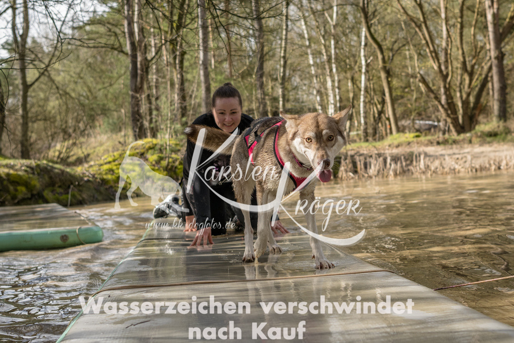 1004_ZZ92443 | kk-dogfotos