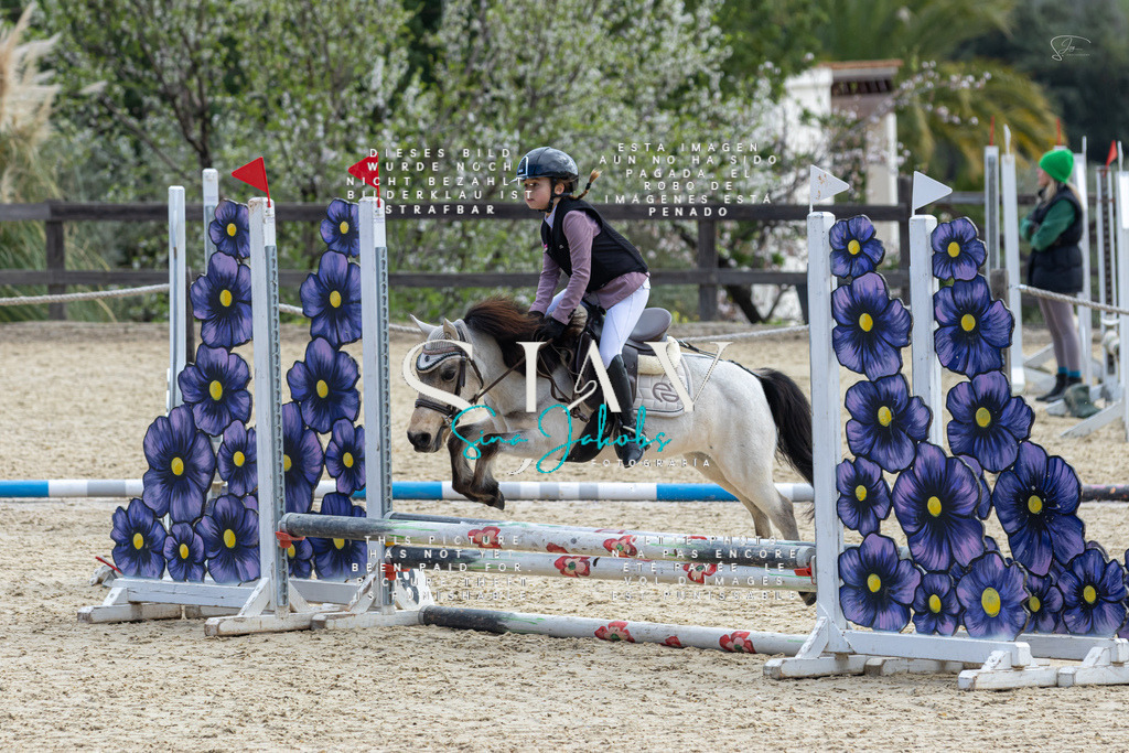 IMG_4712 | s-jay-photography - Realisiert mit Pictrs.com