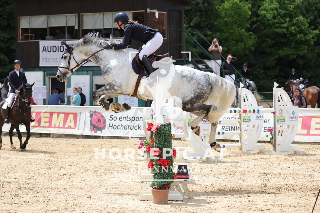 0P6A8158 | Willkommen bei Brunnmayr - Design & Fotografie – Ihrem Spezialisten für Reitturniere und Pferdeveranstaltungen in Oberösterreich, Salzburg und Bayern! Seit über 17 Jahren sind wir leidenschaftlich dabei.
