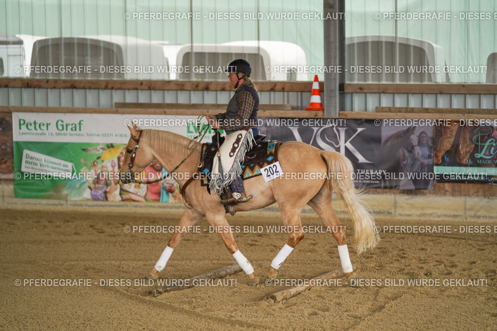 DSC04970 | Pferdegrafie