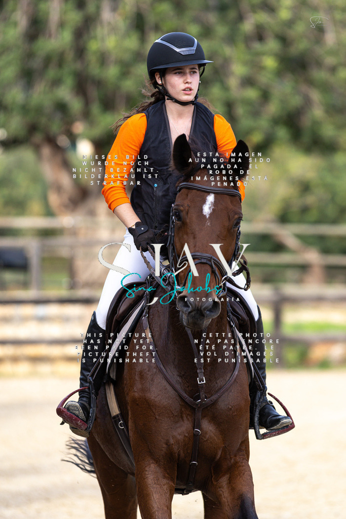 IMG_4759 | s-jay-photography - Realisiert mit Pictrs.com