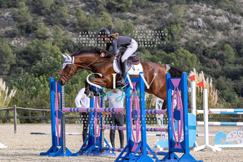 IMG_4177 | s-jay-photography - Realisiert mit Pictrs.com