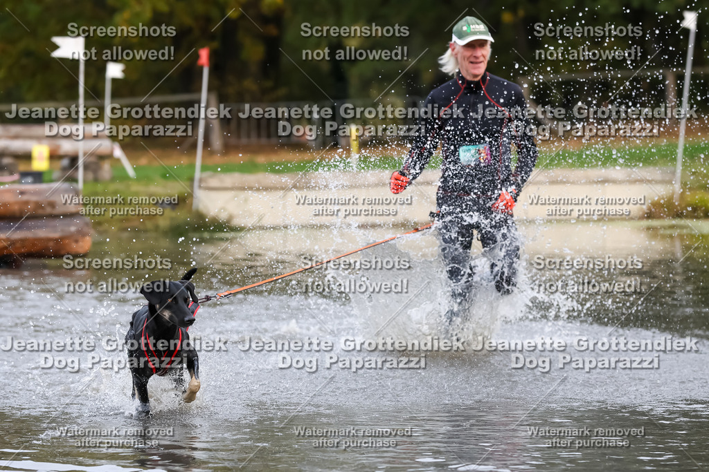 Dog Paparazzi - Strongdog 10-25-6562 | Dog Paparazzi Jeanette Grottendiek Fotografie & Videografie - Realisiert mit Pictrs.com