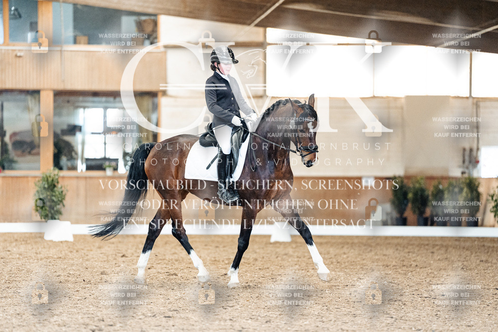 CK909871 | Turnierfotografie Pferdefotografie Trier Rheinland-Pfalz Pferdesport Reitsport Tierfotografie Sportfotografie Pferdevideo Pferdevideografie Equestrianvideography equestrianphotography  - Realisiert mit Pictrs.com