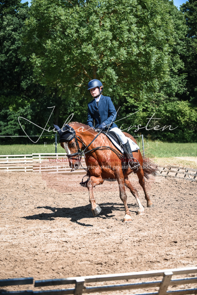 DSC_3536 | Pferde- und Turnierfotografie in Westsachsen. Pferdeportraits, Auftragszeichnungen und intuitive Kunst.