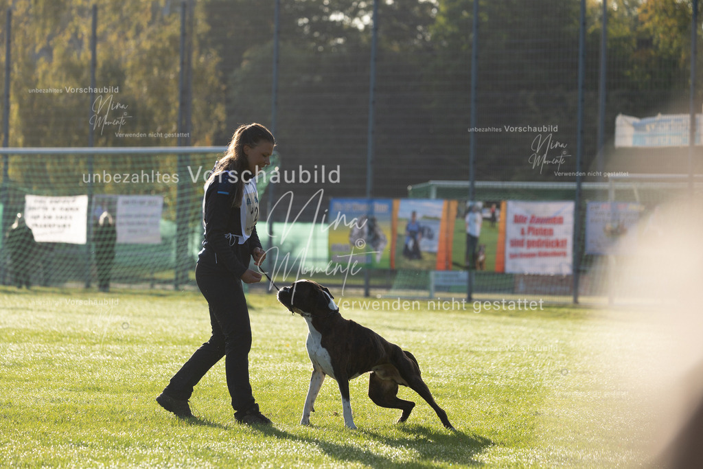_16A6201 | Einzigartige Fotos von Hunden & Menschen –Actionfotos, Portraits, Vereinsaufnahmen & Paarshootings – authentisch, lebendig & mit Herz.