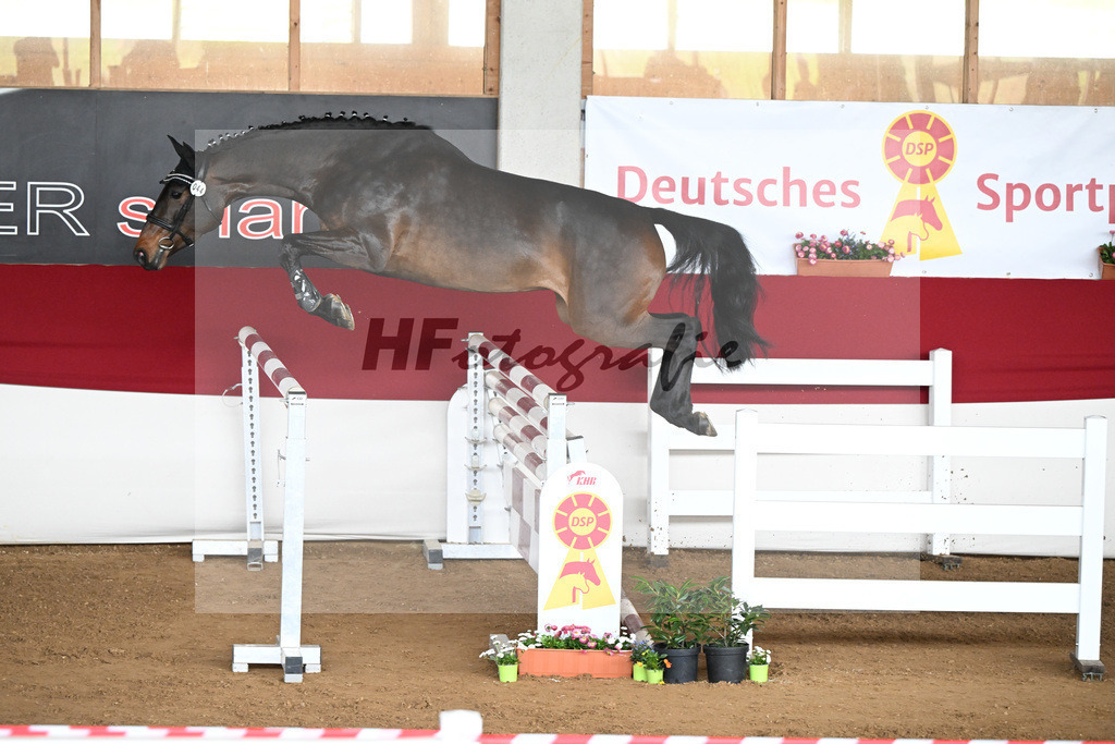 Kat-Nr. 44 Uma v. Uno I_Volkert_9240872 | hf-fotografie - Realizzato con Pictrs.com