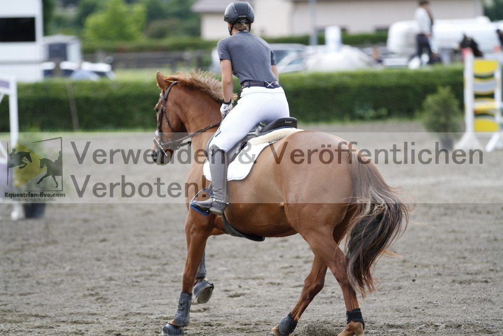 _MG_2496 | equestrian-live-com