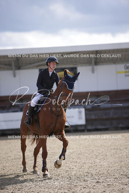 1J2A6934Sina Boldt_ Quincentaro_ Kn872_ Havekost | Foto- und Videografie für alles rund ums Pferd. Hochwertige Bilder und Videos vom Spring- und Dressurreiten, Voltigieren & mehr. Jetzt aktuelle Veranstaltungen und Preise im Shop ansehen. - Realisiert mit Pictrs.com