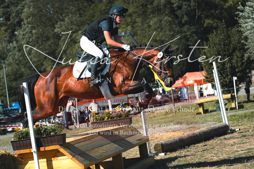 DSC_7851 | Pferde- und Turnierfotografie in Westsachsen. Pferdeportraits, Auftragszeichnungen und intuitive Kunst.