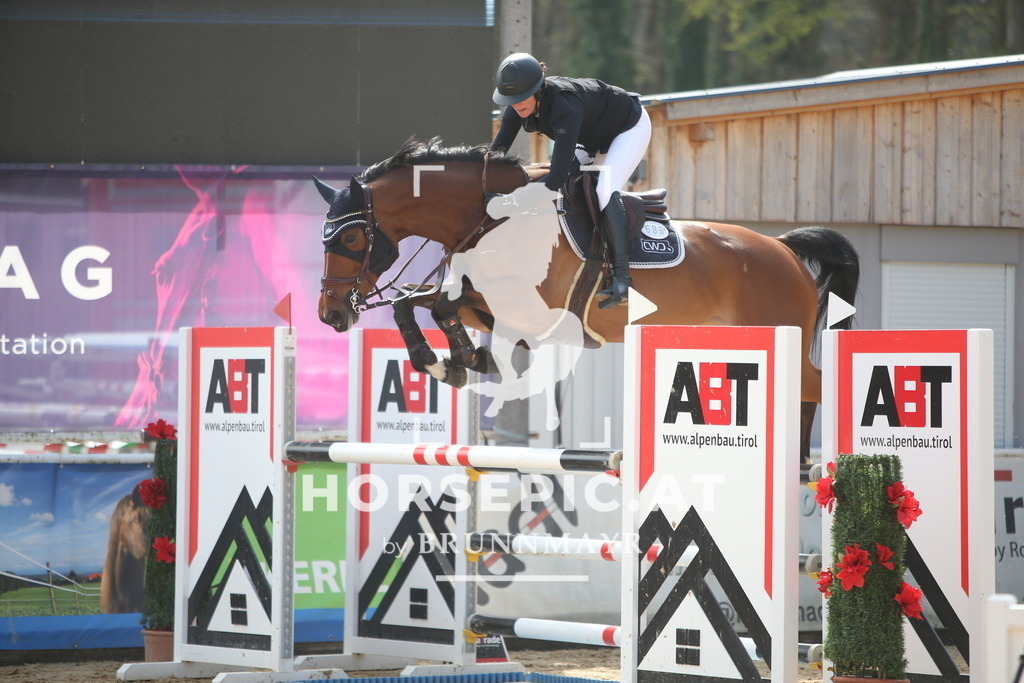 PP013794 | Willkommen bei Brunnmayr - Design & Fotografie – Ihrem Spezialisten für Reitturniere und Pferdeveranstaltungen in Oberösterreich, Salzburg und Bayern! Seit über 17 Jahren sind wir leidenschaftlich dabei.