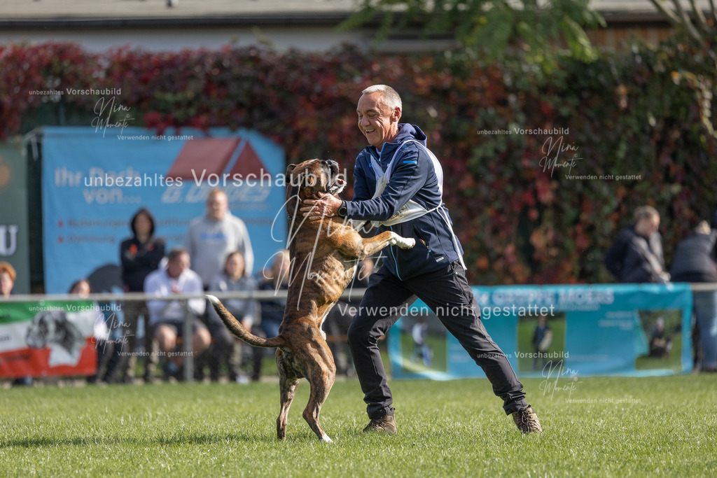 _16A5348 | Einzigartige Fotos von Hunden & Menschen –Actionfotos, Portraits, Vereinsaufnahmen & Paarshootings – authentisch, lebendig & mit Herz.