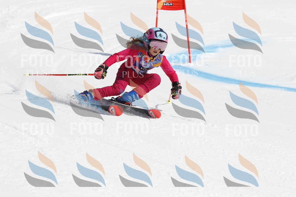 _U3G9782 | holidayphoto