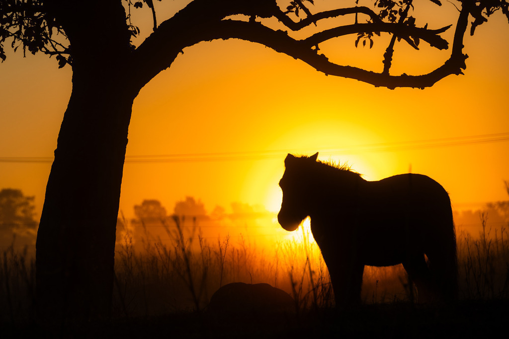 Heiligenschein | semigreco - Realisiert mit Pictrs.com
