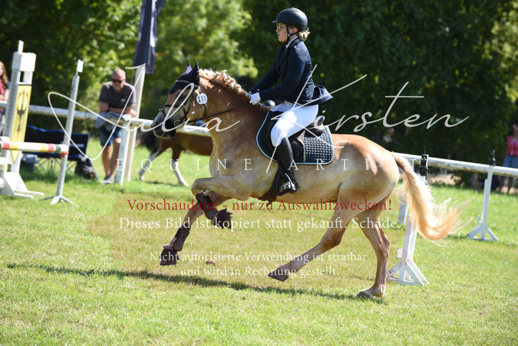 DSC_9513 | Pferde- und Turnierfotografie in Westsachsen. Pferdeportraits, Auftragszeichnungen und intuitive Kunst.