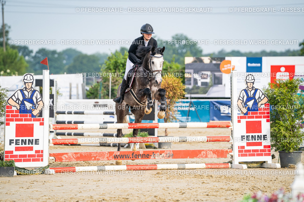 DSC09010 | Pferdegrafie