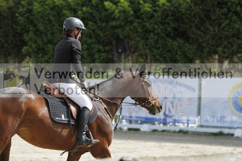 _MG_8977 | equestrian-live-com