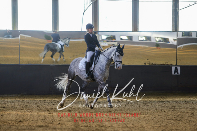 IMG_2700 | Turniersportfotografie; Pferdefotografie; Dressurfotografie
