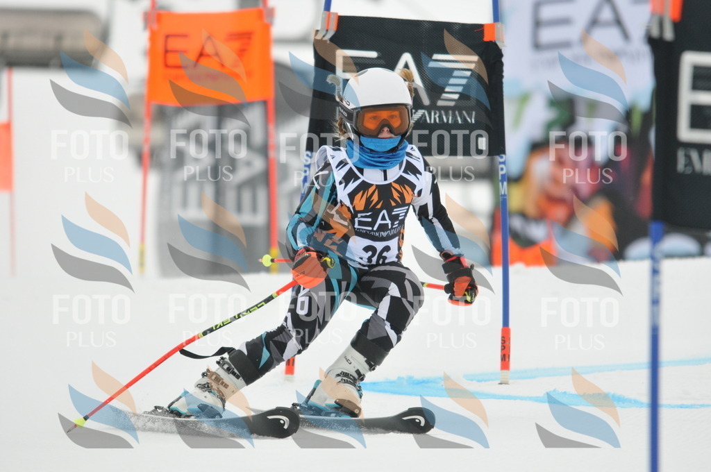 DSC_7597 | holidayphoto