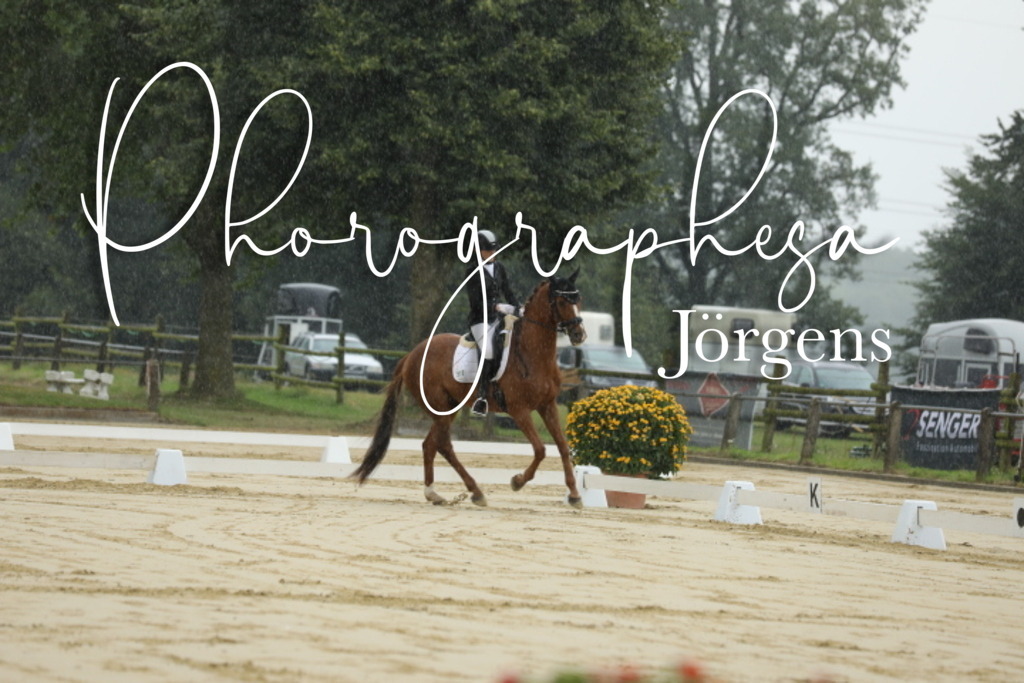 IMG_4690 | photographesa-joergens - Realisiert mit Pictrs.com