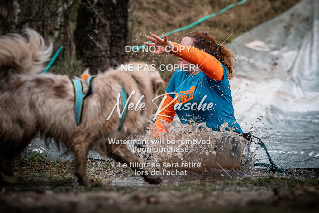 nelerasche_1130-1230_97 | nelerasche