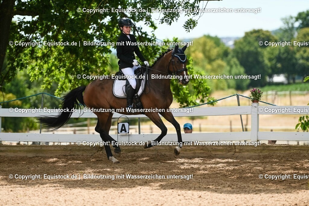 20230715_09_Dressur-WB_0479 | equistock
