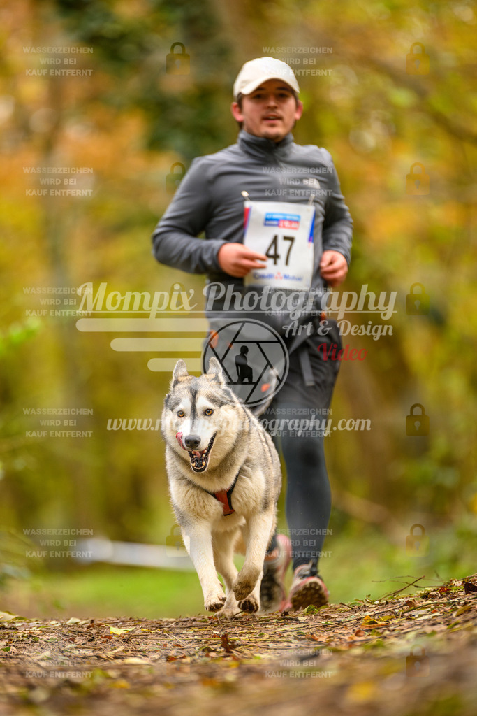 MompixPhotography_Bischwiller24_SA_Canicross-42 | PayLife