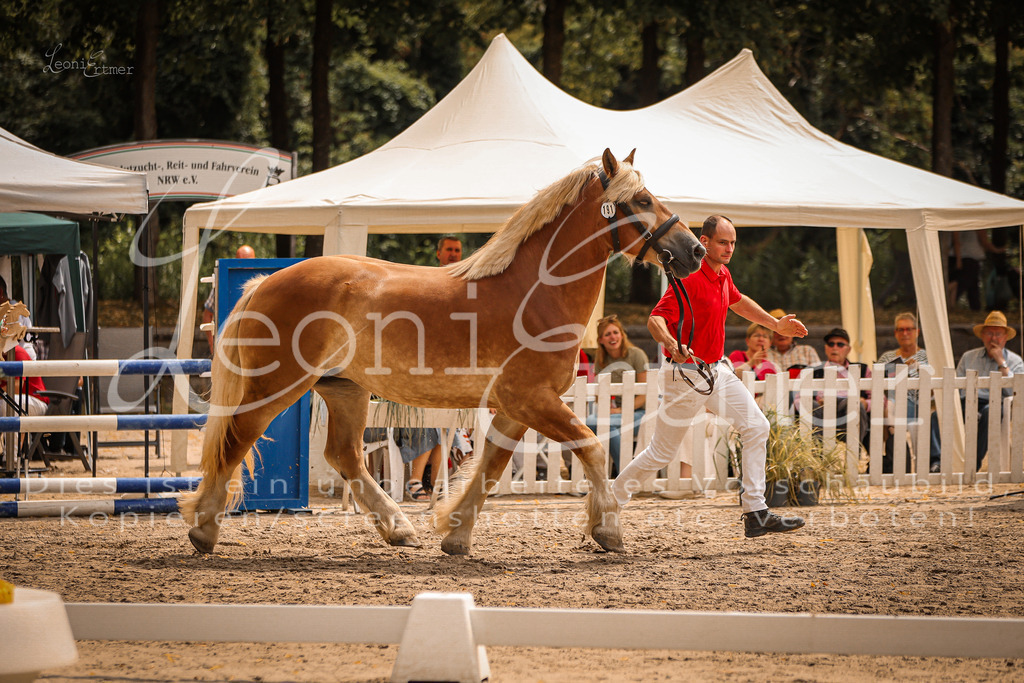 SaSieger00008 | Leoni Ertmer Photography - Realisiert mit Pictrs.com