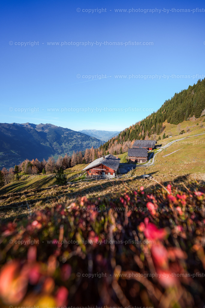 Karlalm Laberg Herbst copyright  Thomas Pfister-5 | PHOTOGRAPHY BY THOMAS PFISTER