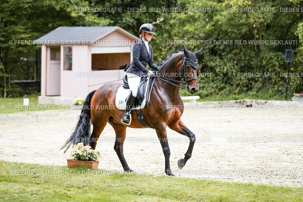 DSC09741 | Pferdegrafie