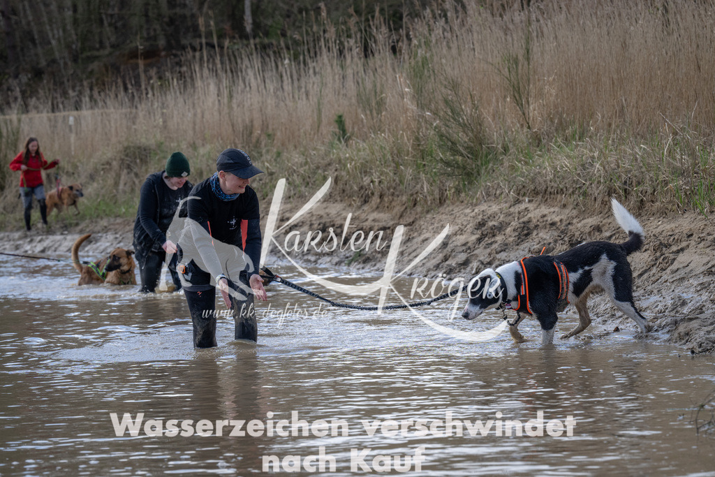 0958_ZZ92975 | kk-dogfotos