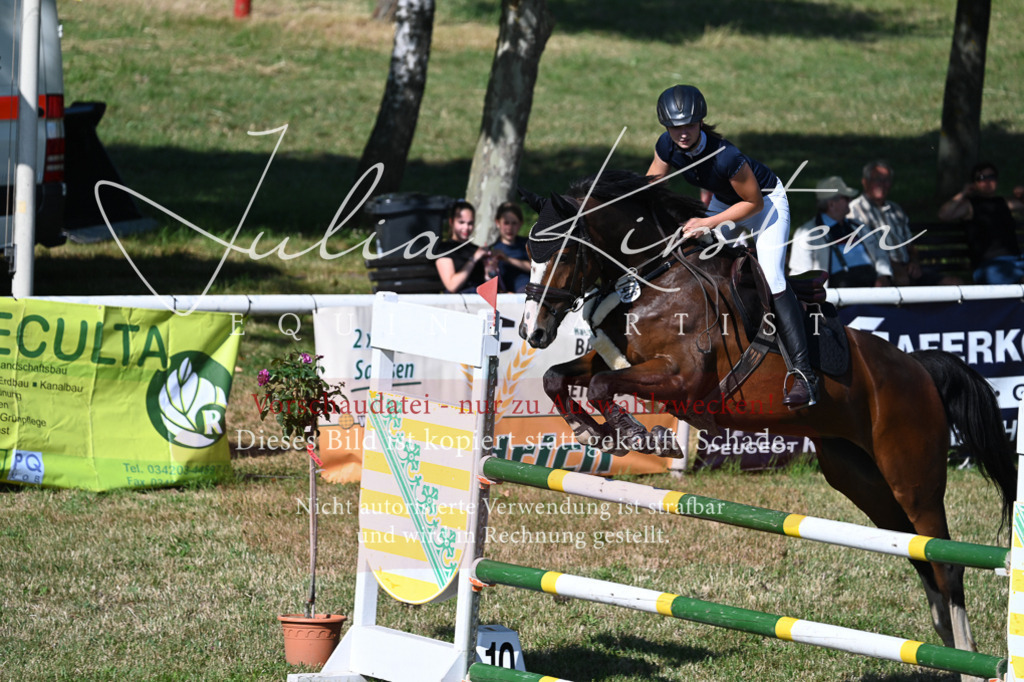DSC_2038 | Pferde- und Turnierfotografie in Westsachsen. Pferdeportraits, Auftragszeichnungen und intuitive Kunst.
