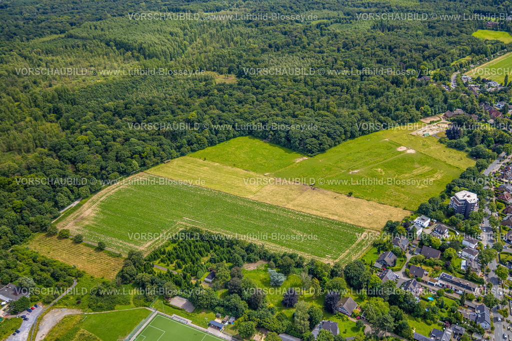 Duisburg240703447-Sued | Luftbild, Duisburg-Süd, Neubauprojekt am Rahmer Buschfeld, Rahm, Duisburg, Ruhrgebiet, Nordrhein-Westfalen, Deutschland